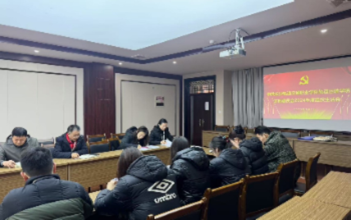 2025年三月组织生活会：2024年度组织生活会及民主评议党员大会