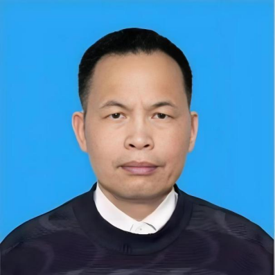 何文学
